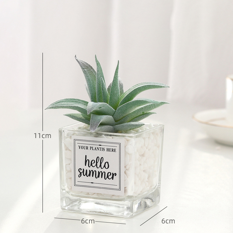 Mini Artificial Succulent Plant With Glass Pot2