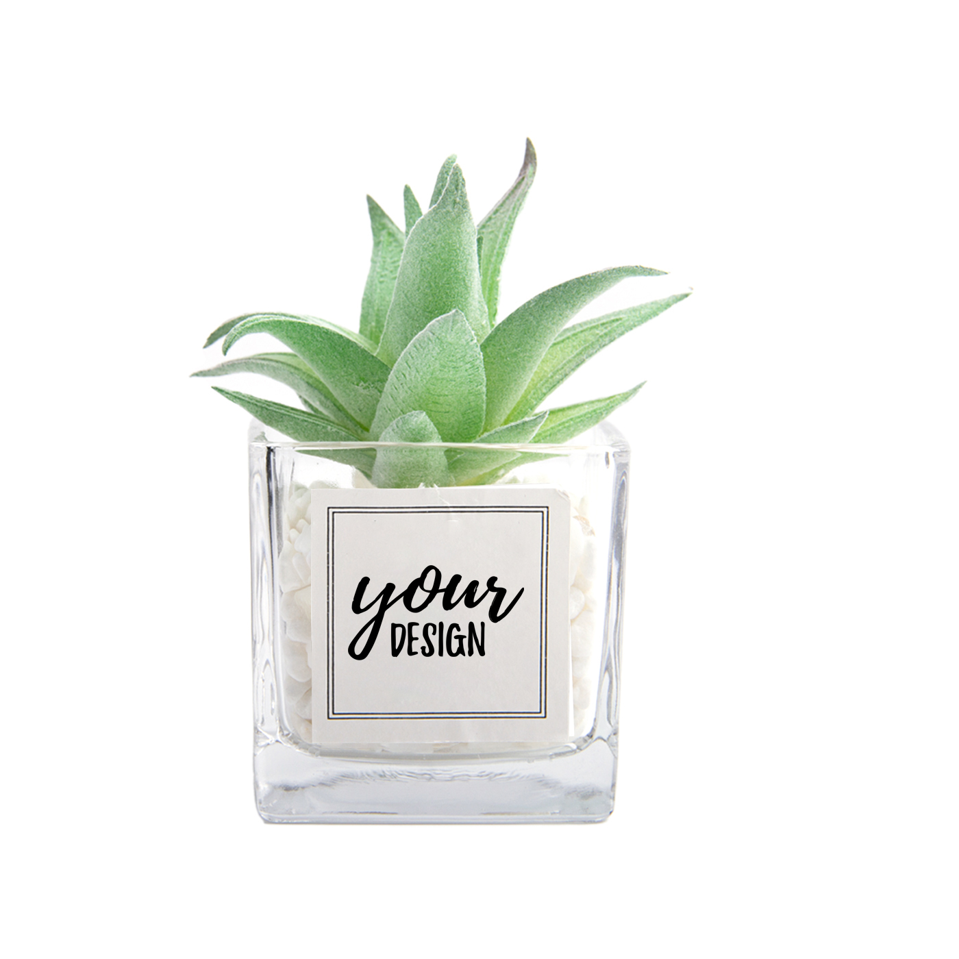 Mini Artificial Succulent Plant With Glass Pot1