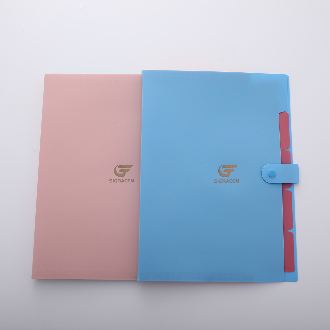 5 Pockets Expanding File Folder3