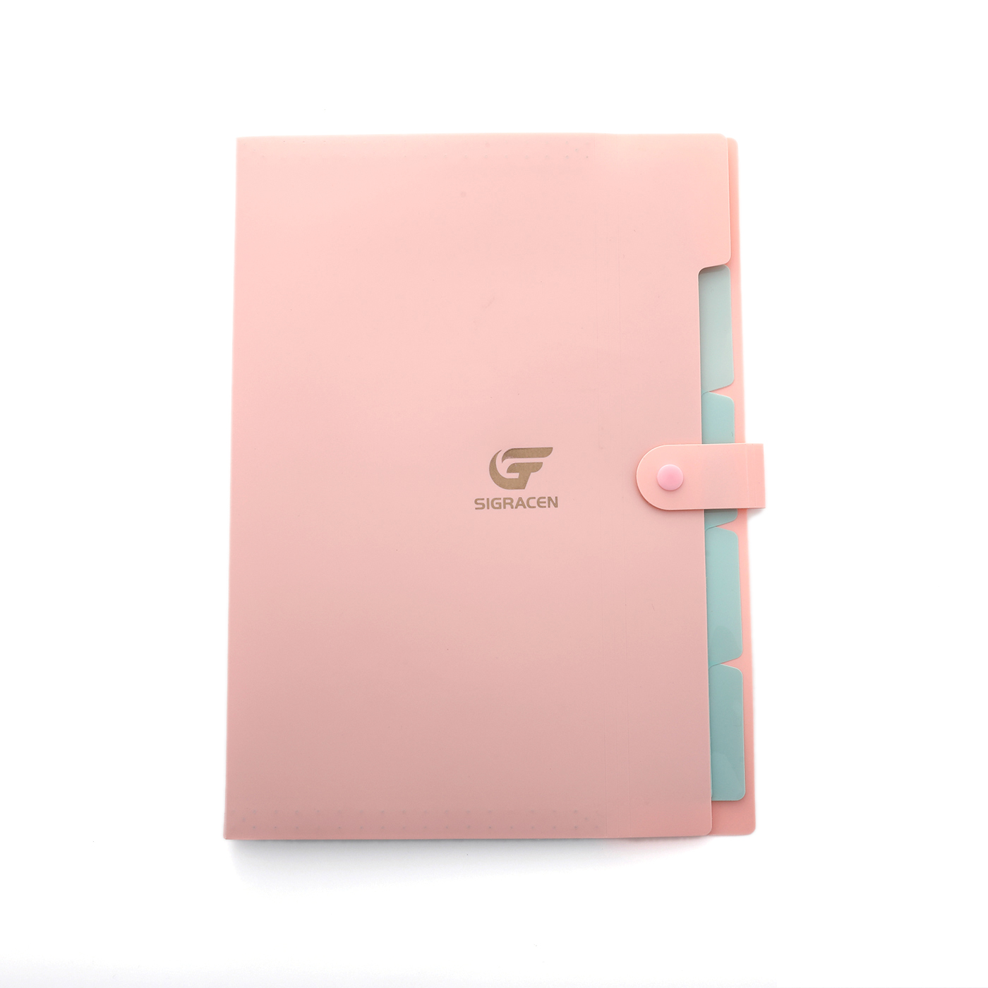 5 Pockets Expanding File Organizer1