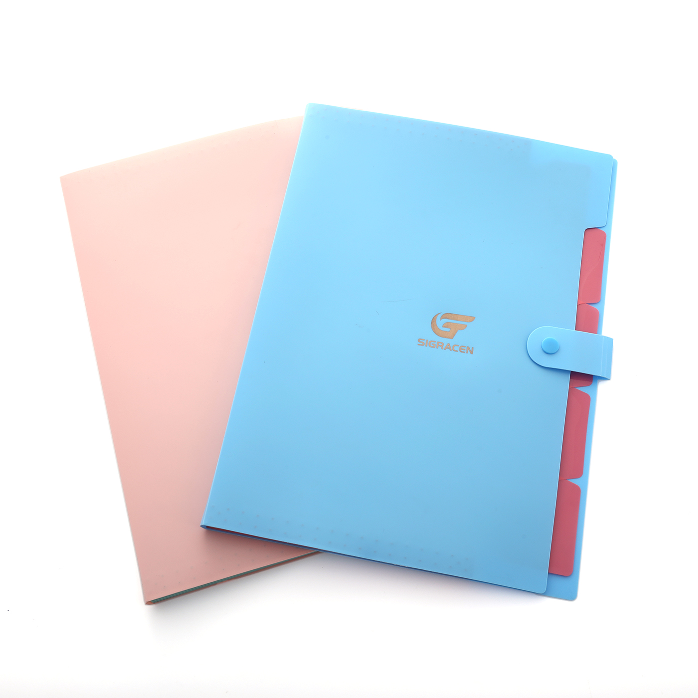 Aktenordner, 5 Taschen, erweiterbar