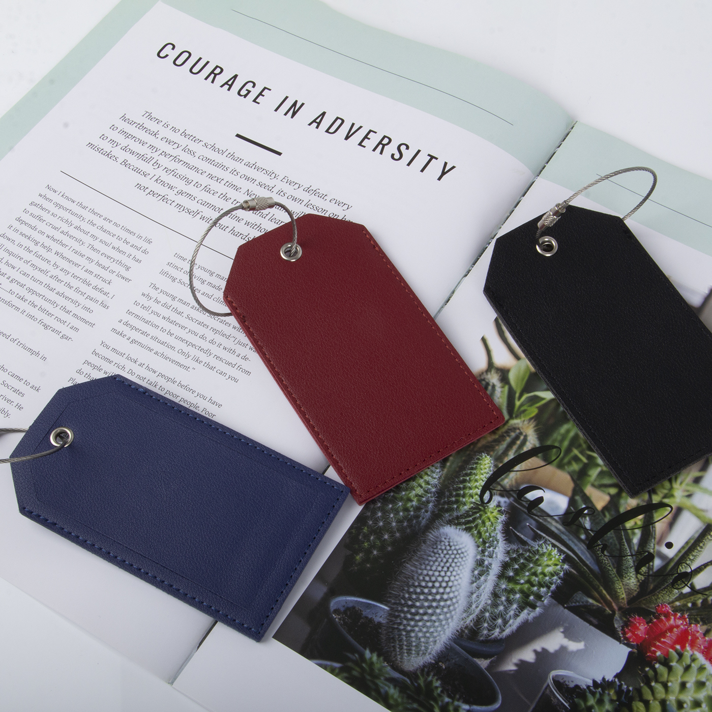 Luggage Tag With Full Privacy Cover And Steel Loop2