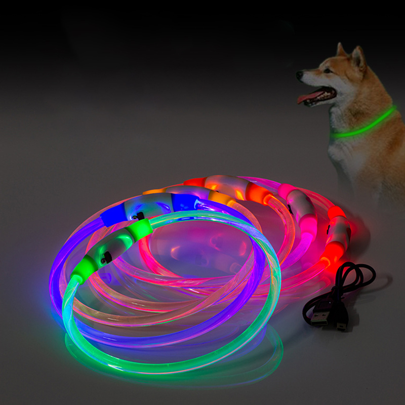 Light Up Dog Collar1