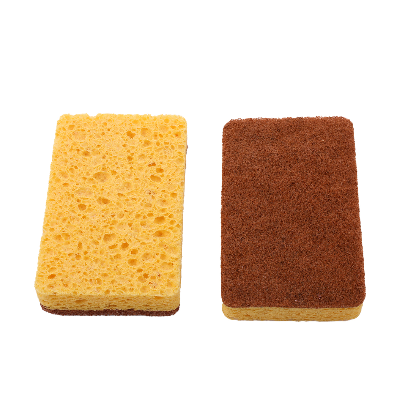 Clean Sponge With Palm Fiber Scrubber1