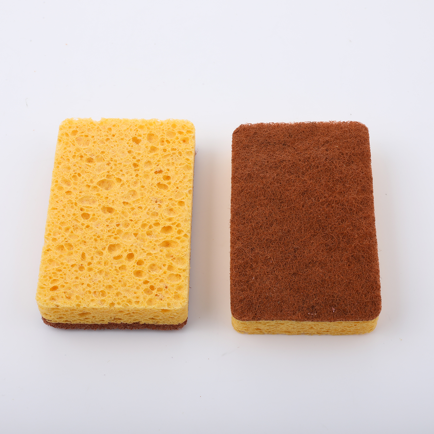 Clean Sponge With Palm Fiber Scrubber2