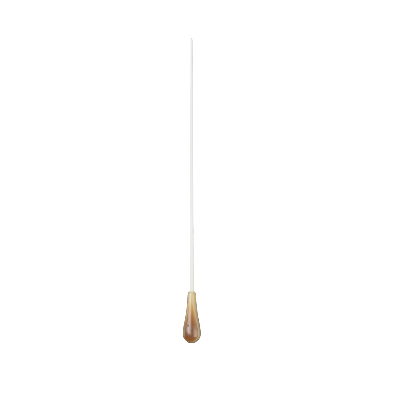 Custom Music Conductor Baton1
