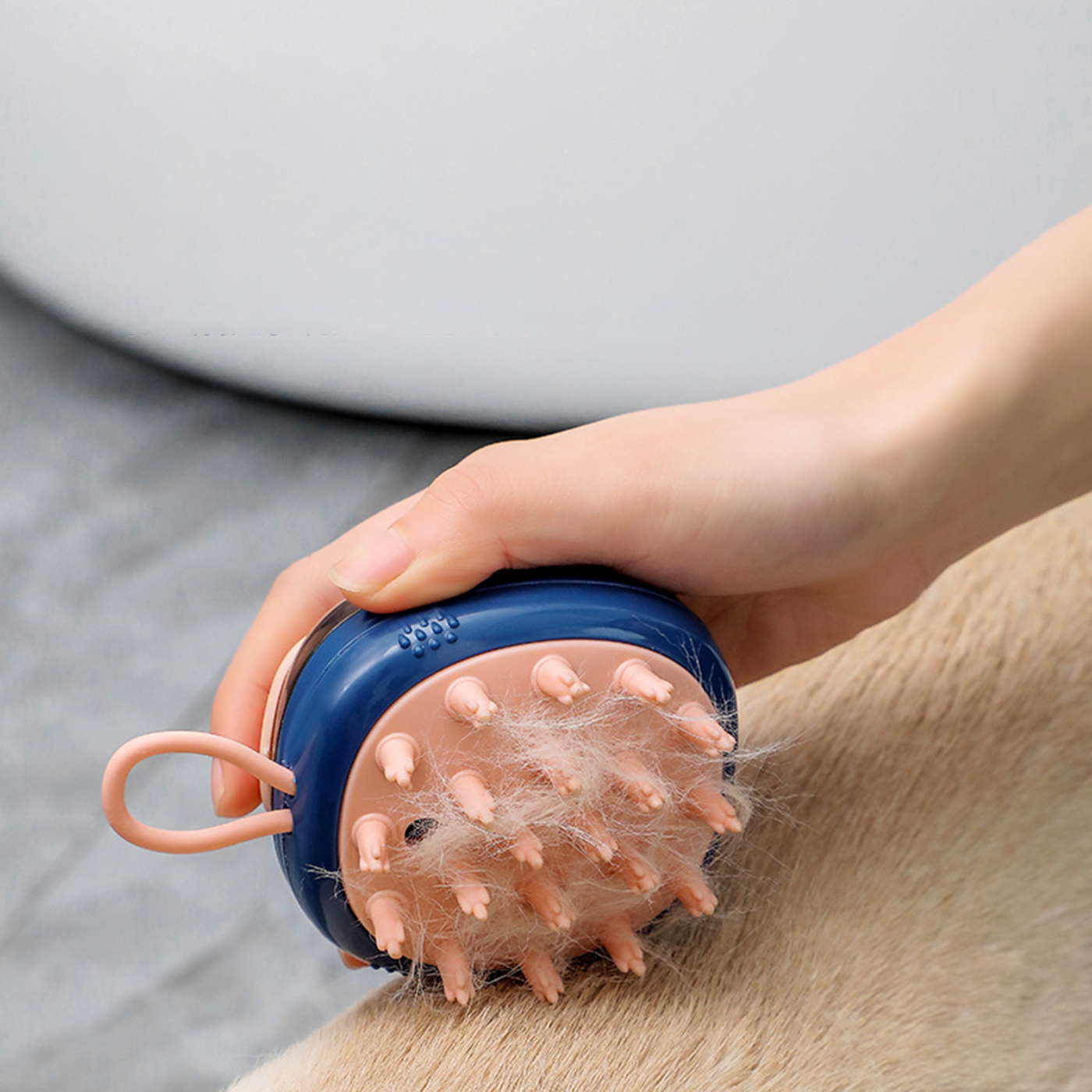 Promotional Dog Grooming Brush3