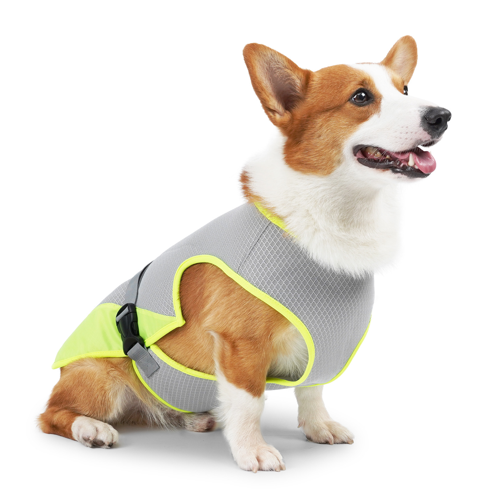 Summer Dog Cooling Vest