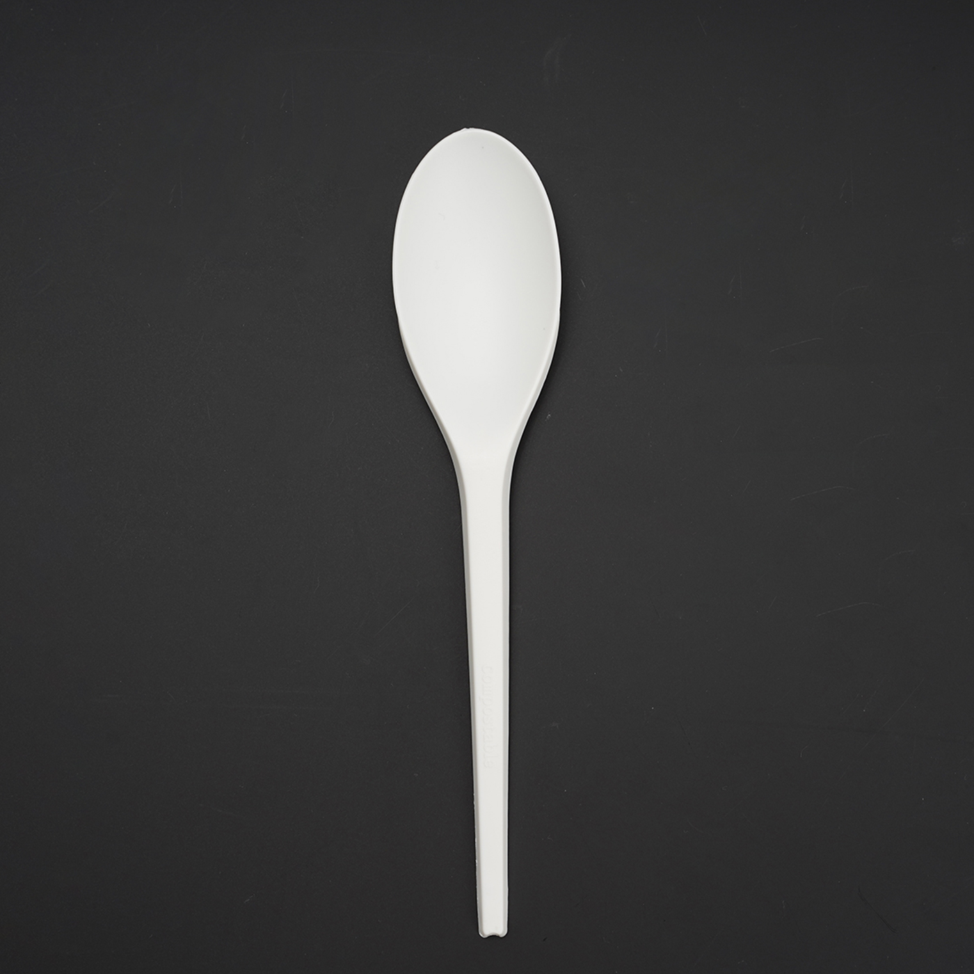 Disposable Catering CPLA Cutlery Set 3