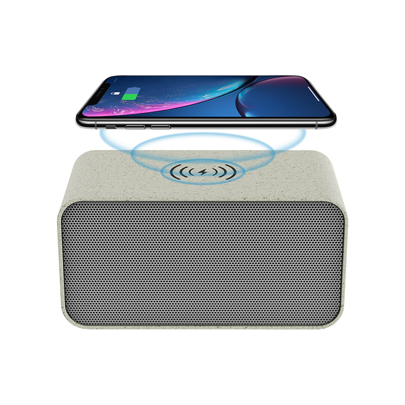 Custom Wireless Speak2