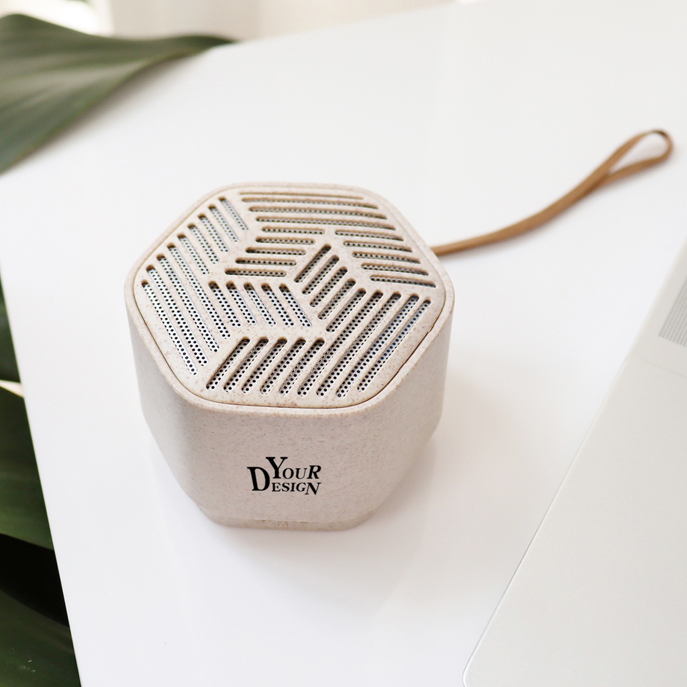 Wheat Straw Portable Speaker1