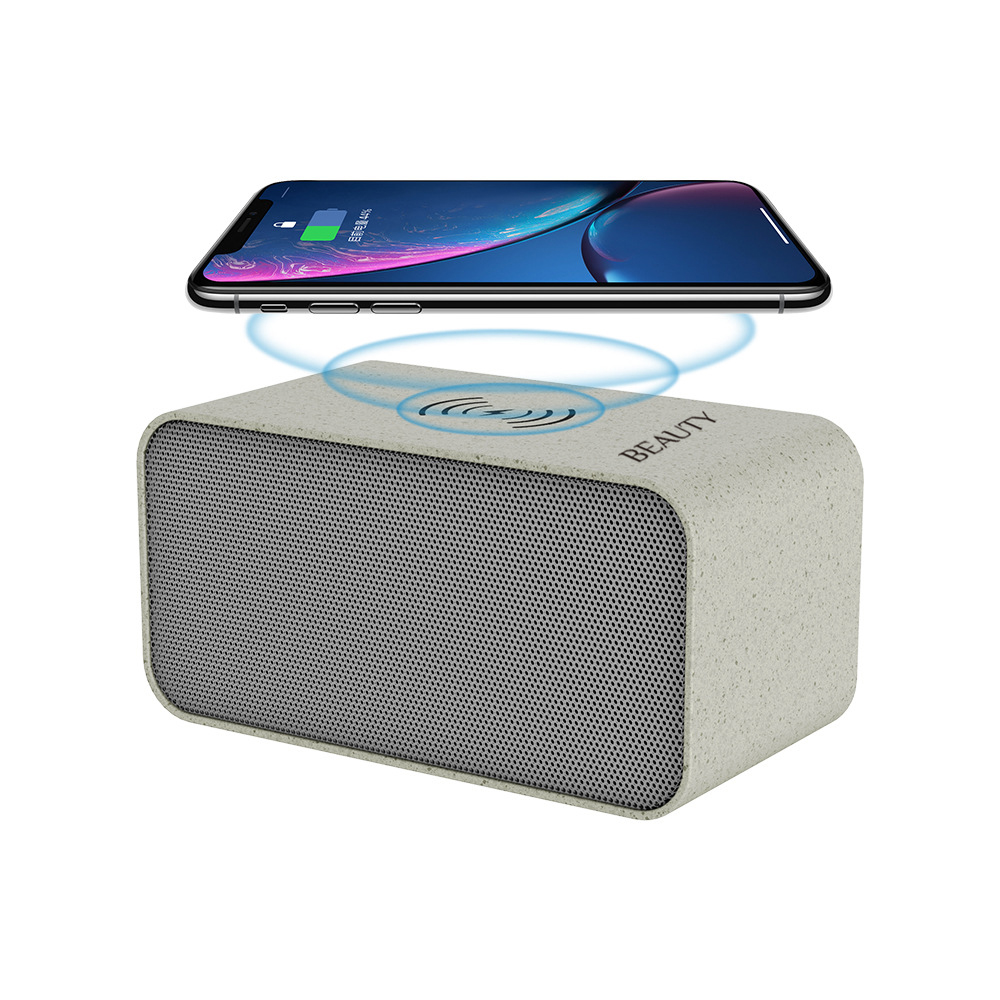 5W Portable Wireless Speaker