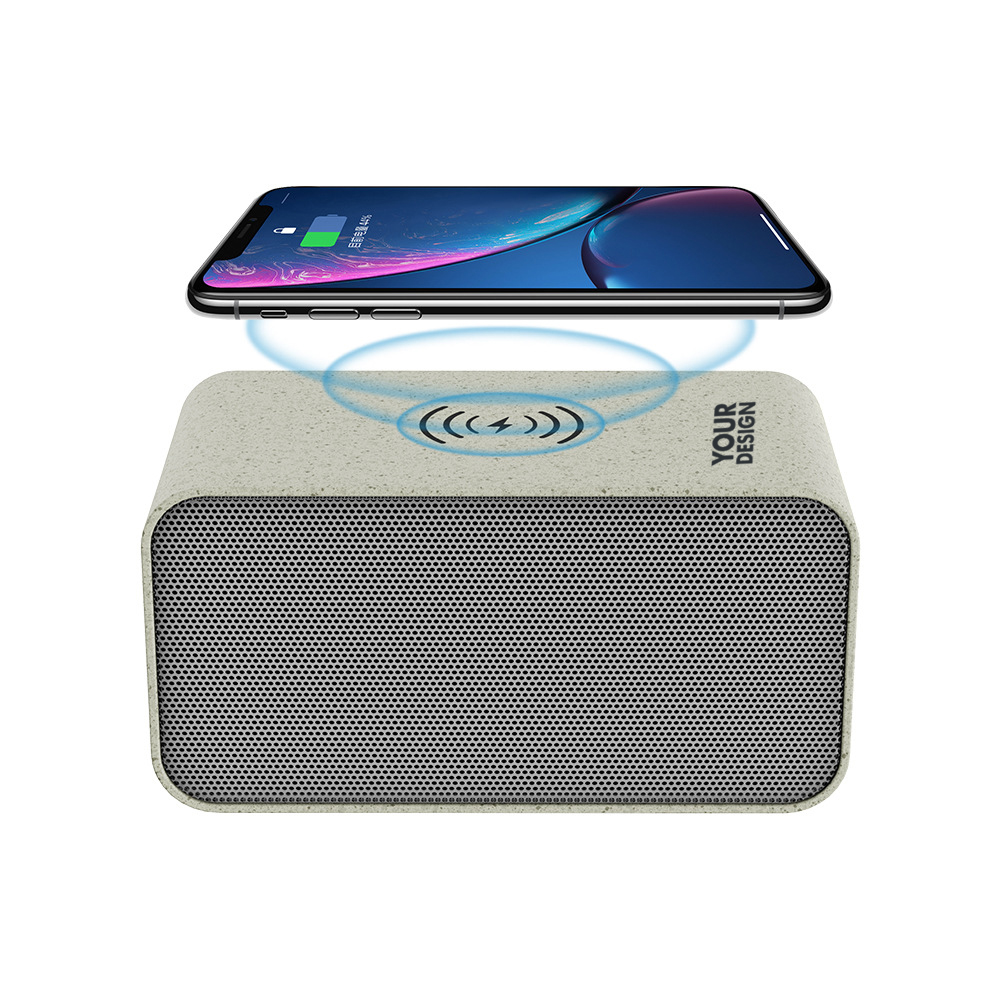Custom Wireless Speak1