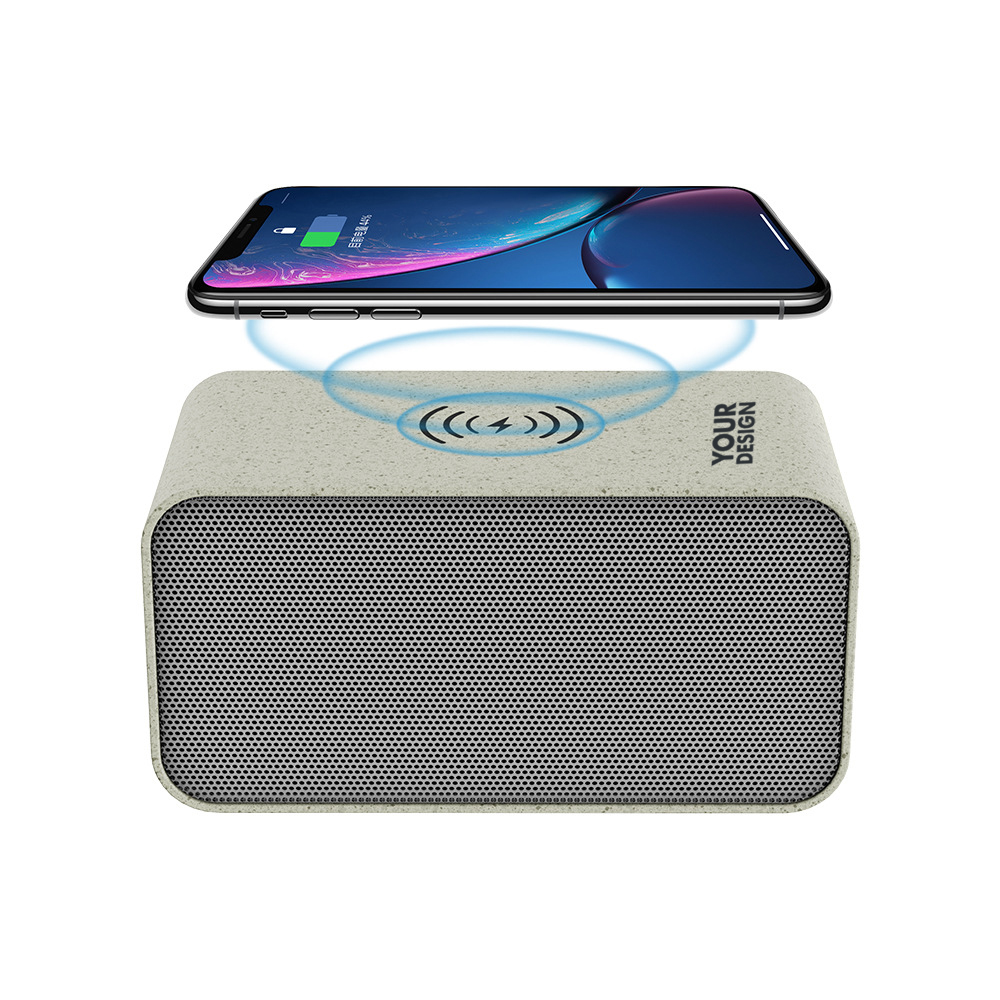 5W Portable Wireless Speaker1