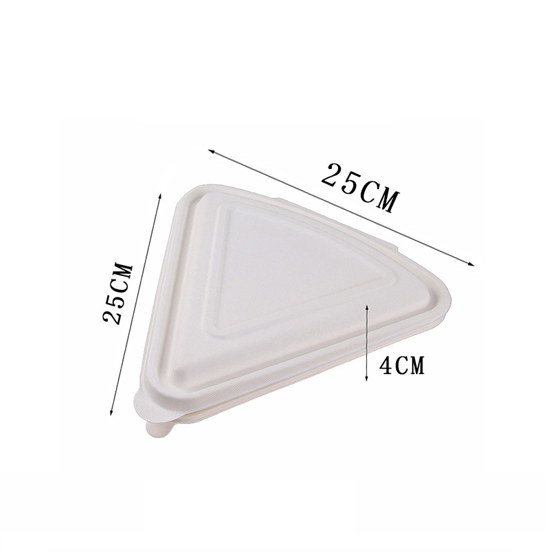 Biodegradable Single Slice Pizza Box2