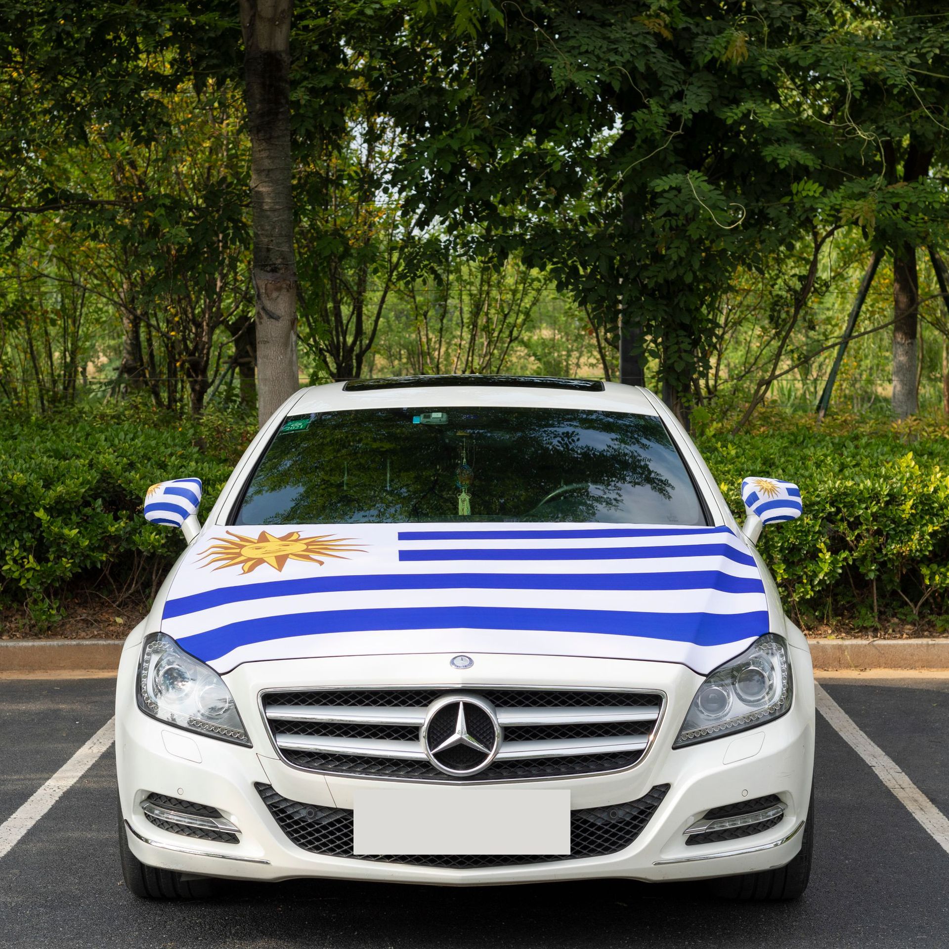 Car Hood Cover Flag2