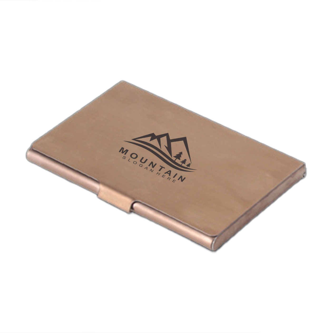 Stainless Steel Business Card Holder1