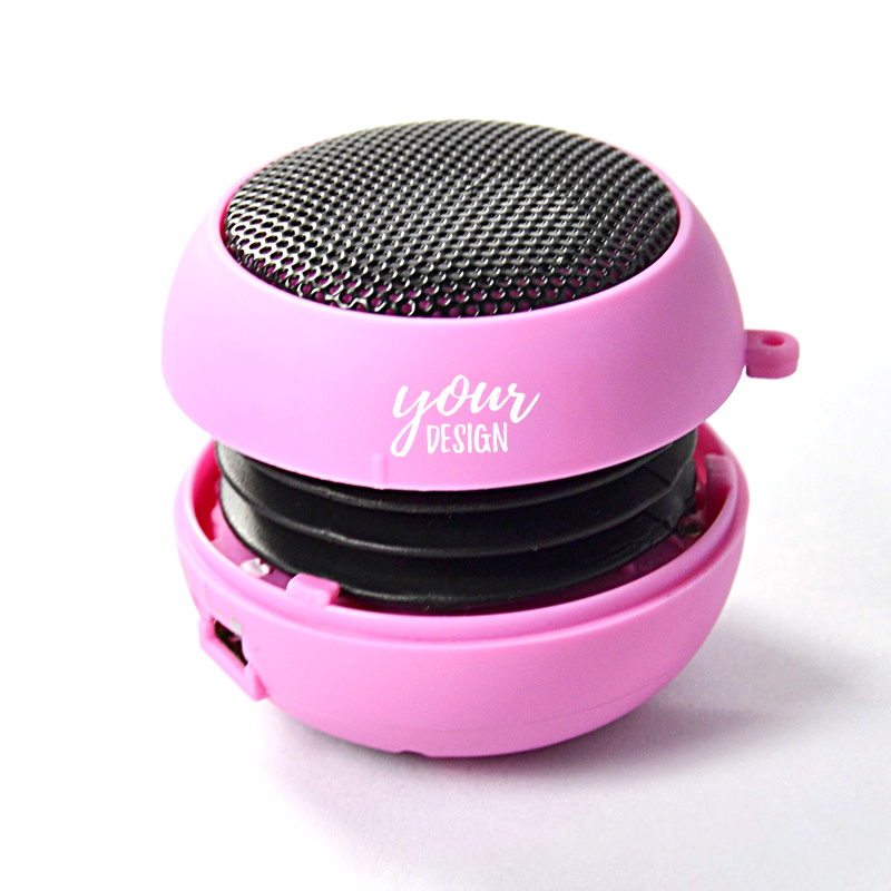Custom Music Speakers 2