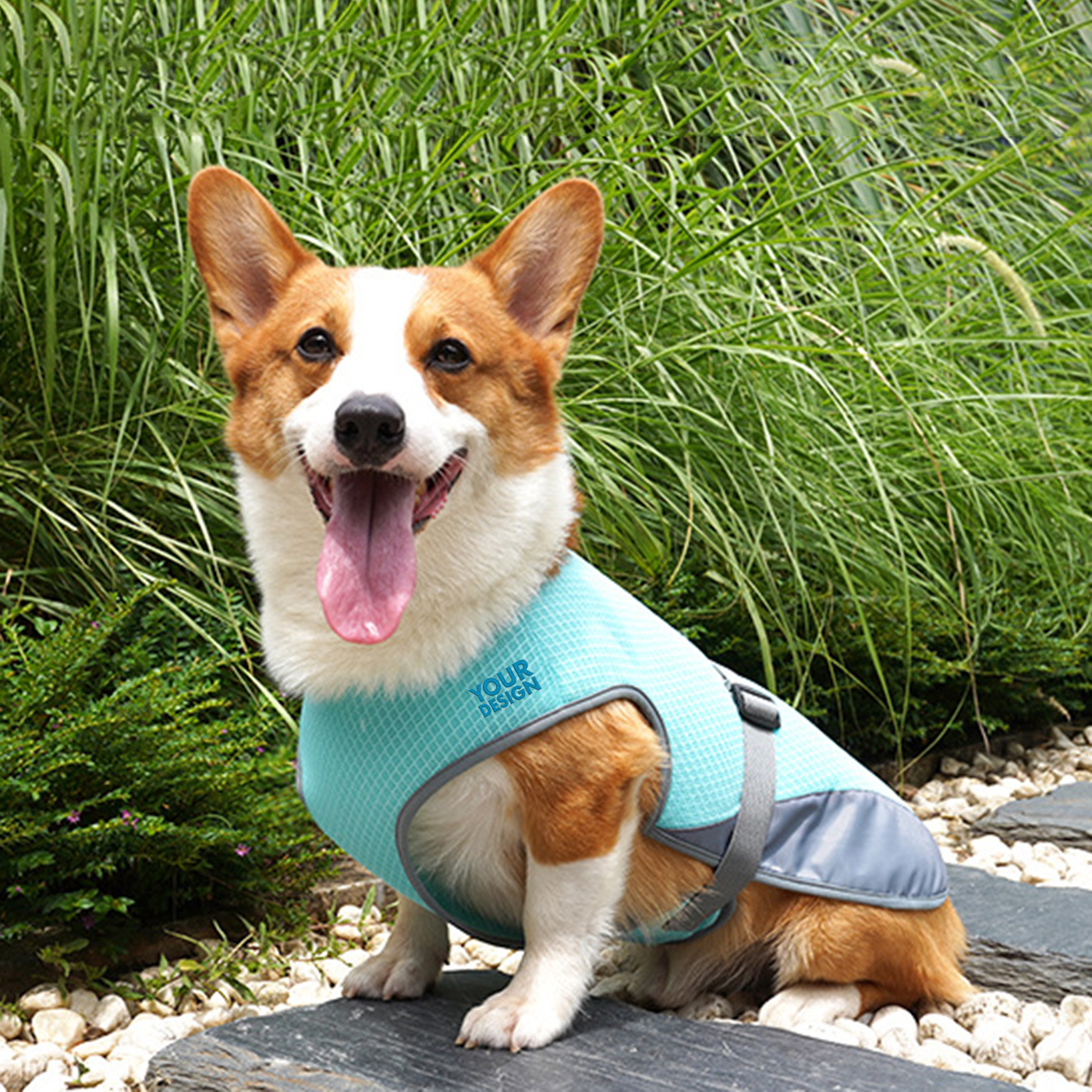 Large Pet Cooling Breathable Vest3