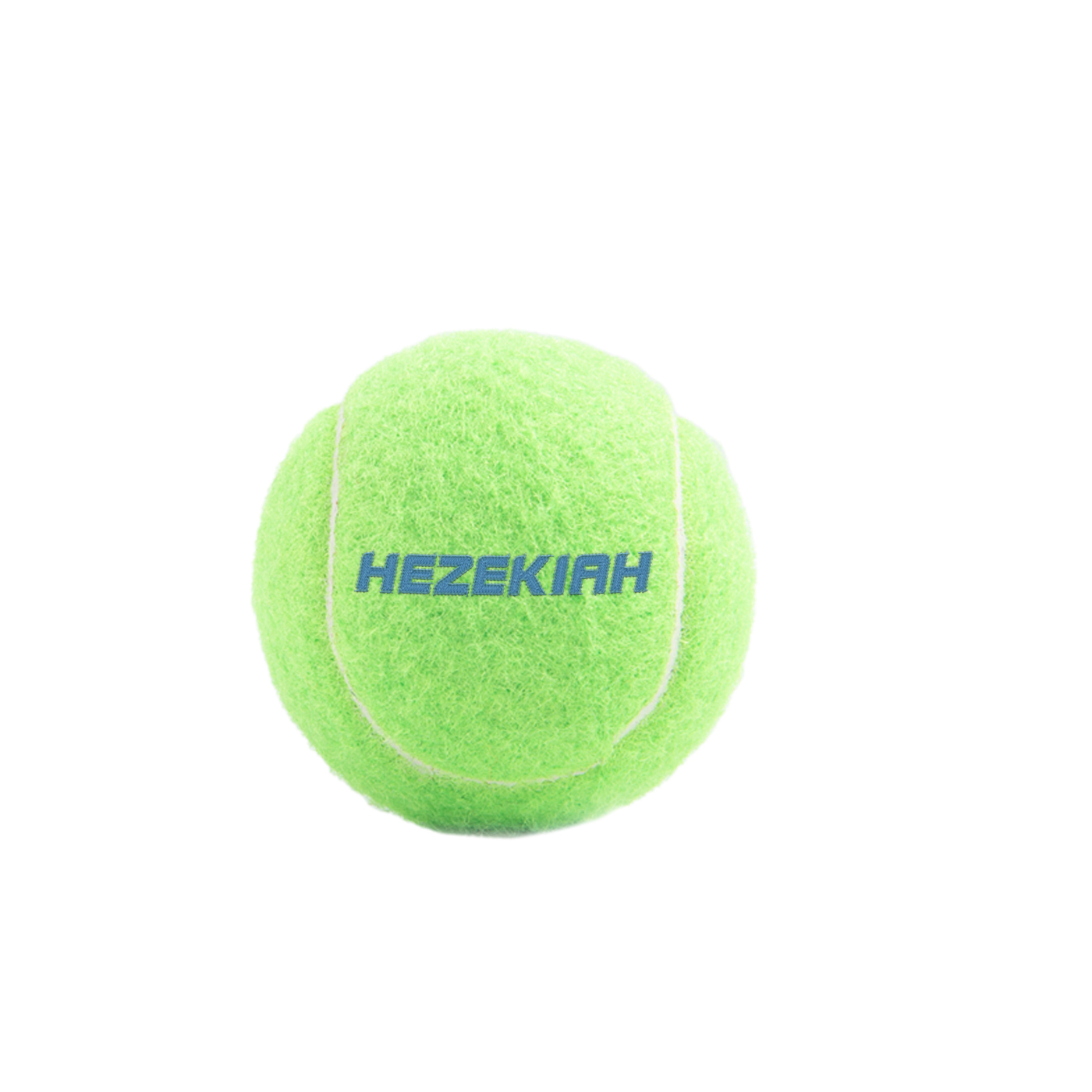 Tennisball, Haustier