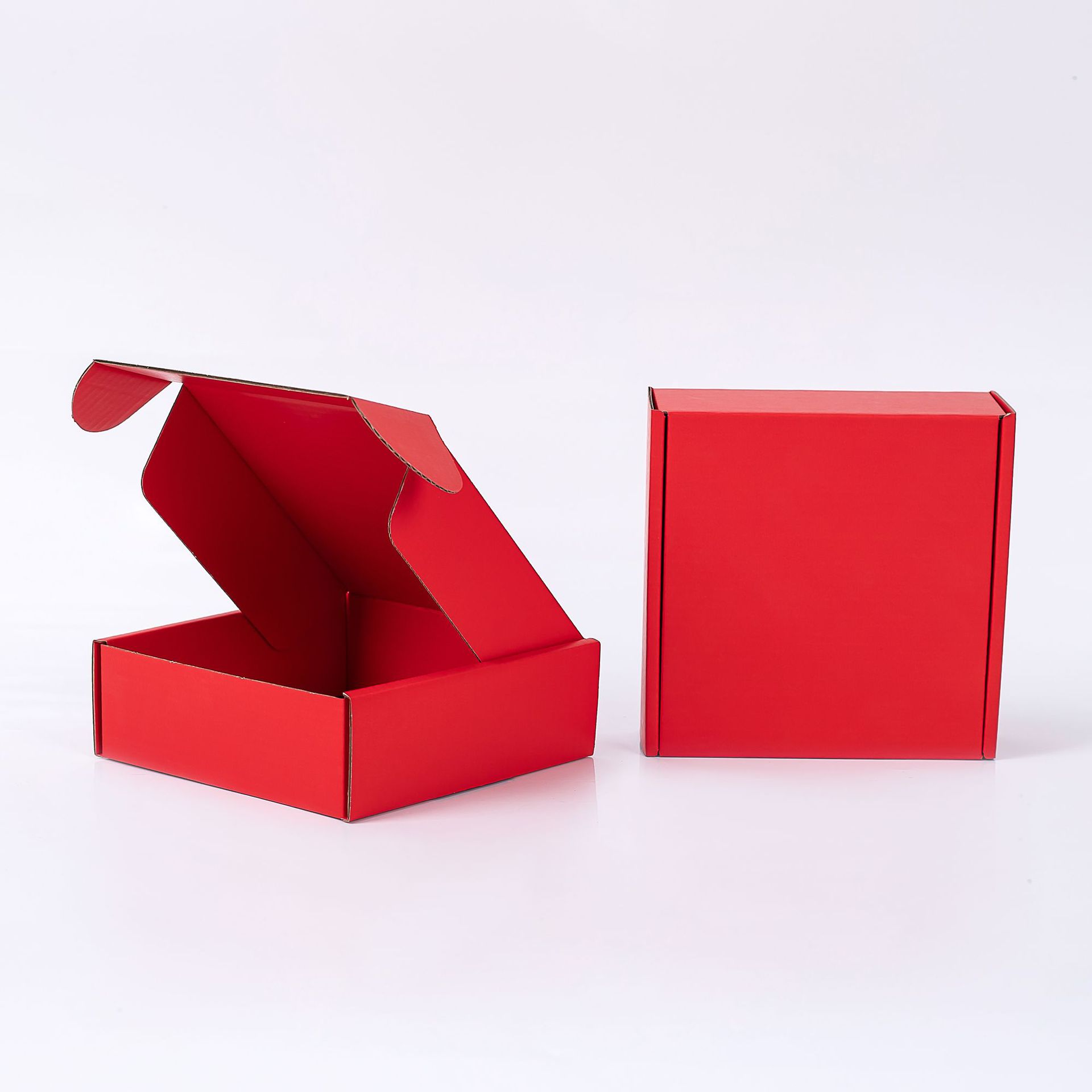  Custom Printed Mailing Box2