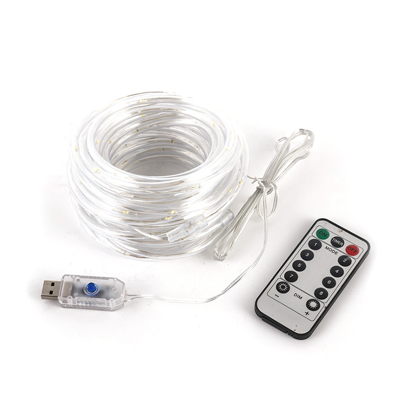 Party LED String Light