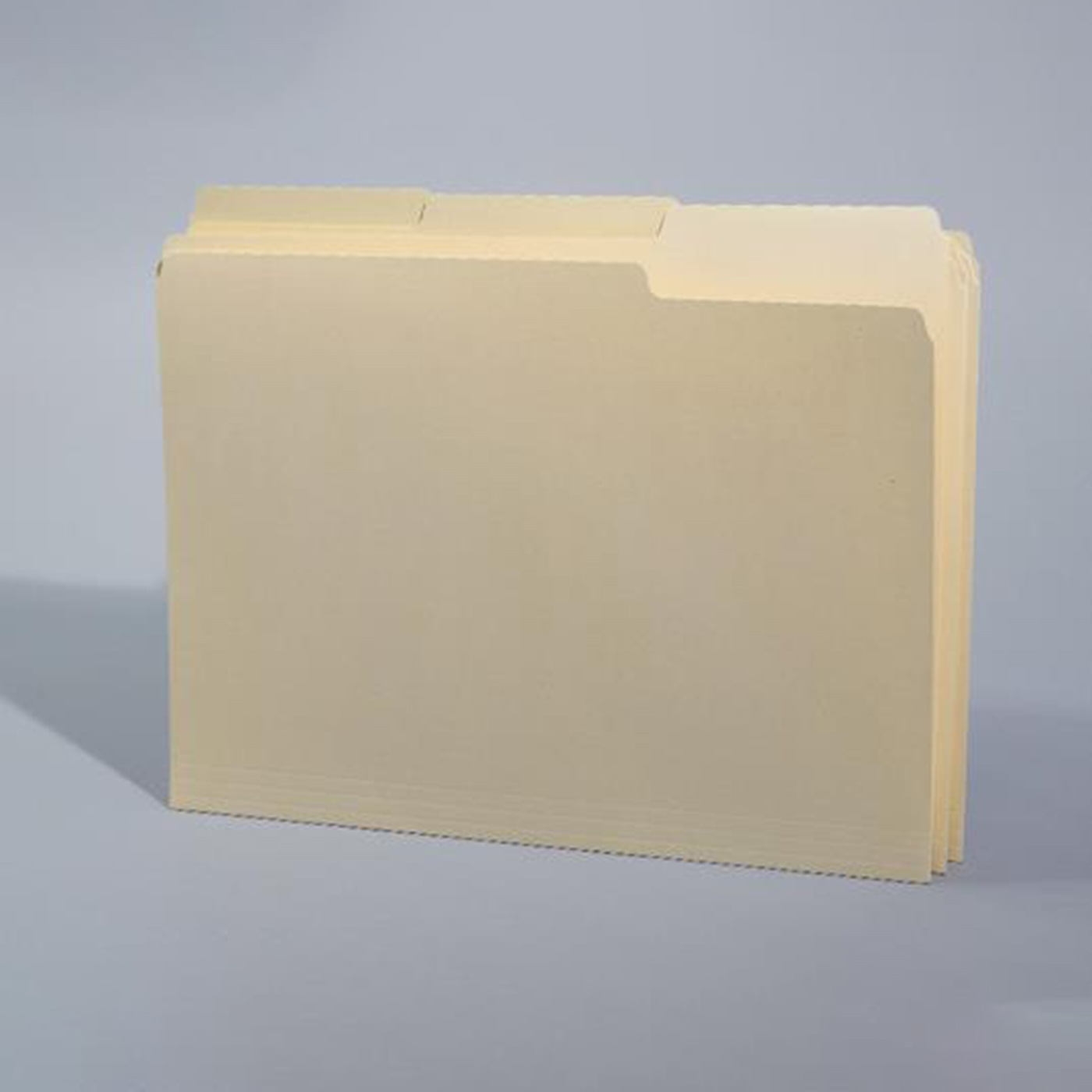 Custom Manila File Folder2