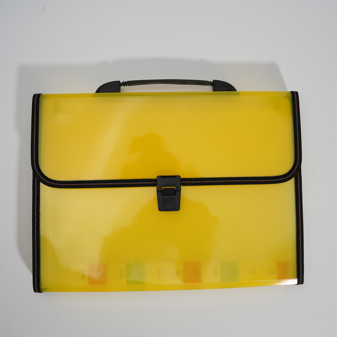 Portable Organ File Bag4