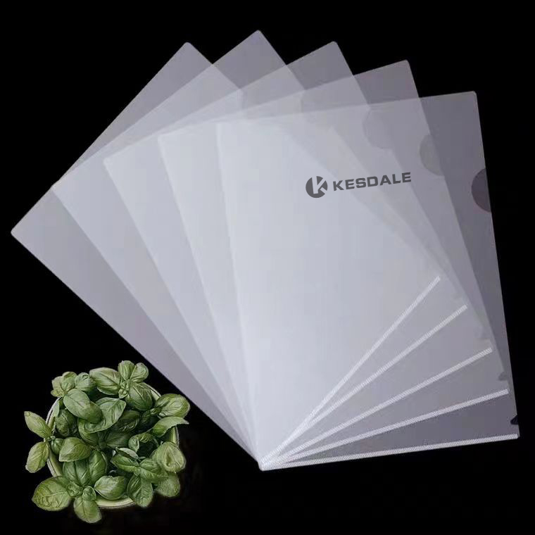 A4 Transparent File Folder