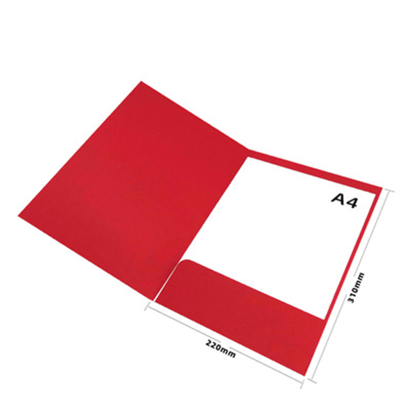 Custom A4 Cardboard File Folder2