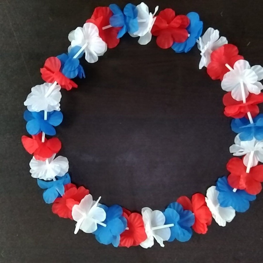 Hawaiianischer Blumen-Lei