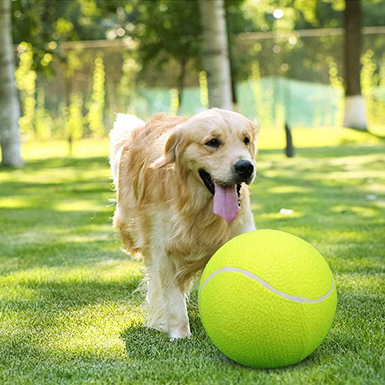 Printed Tennis Balls2