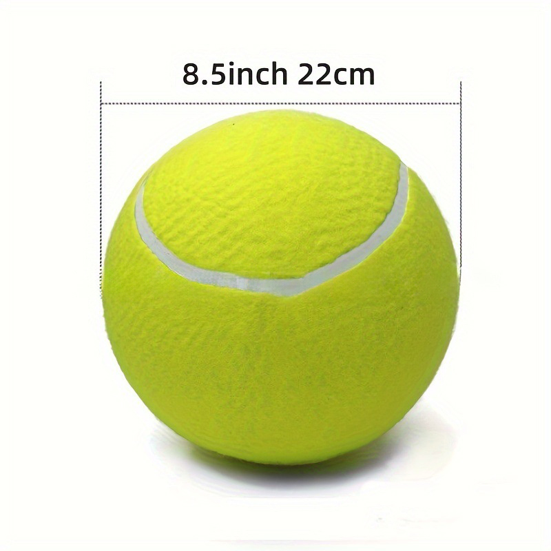 Training Tennis Ball1