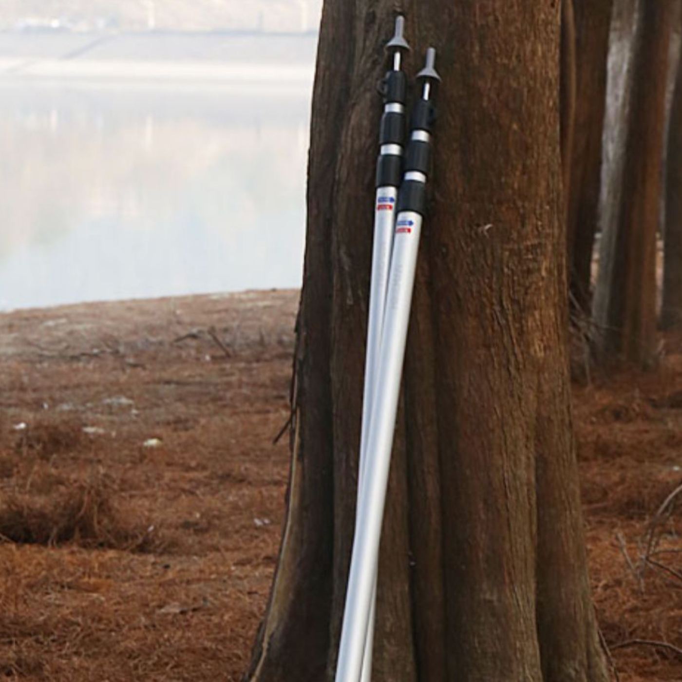Tent Poles2