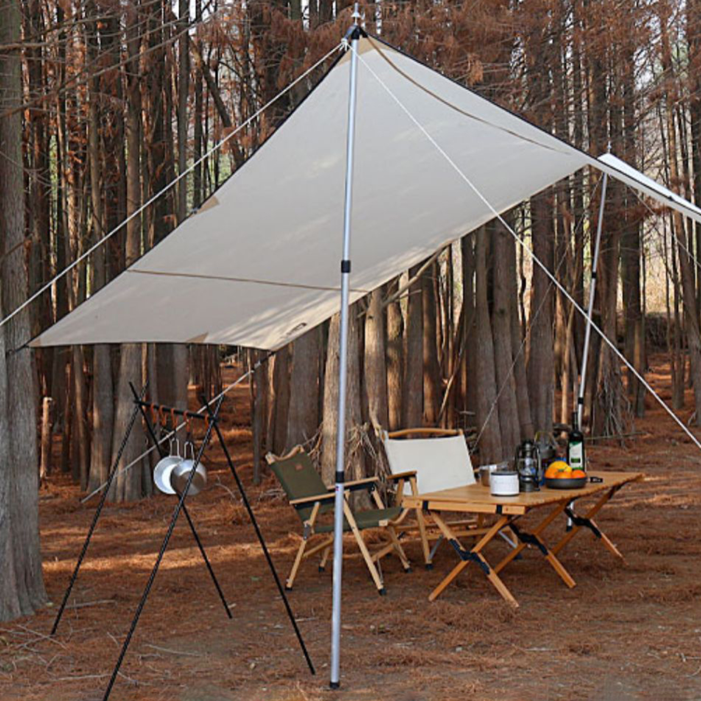 Tent Poles3