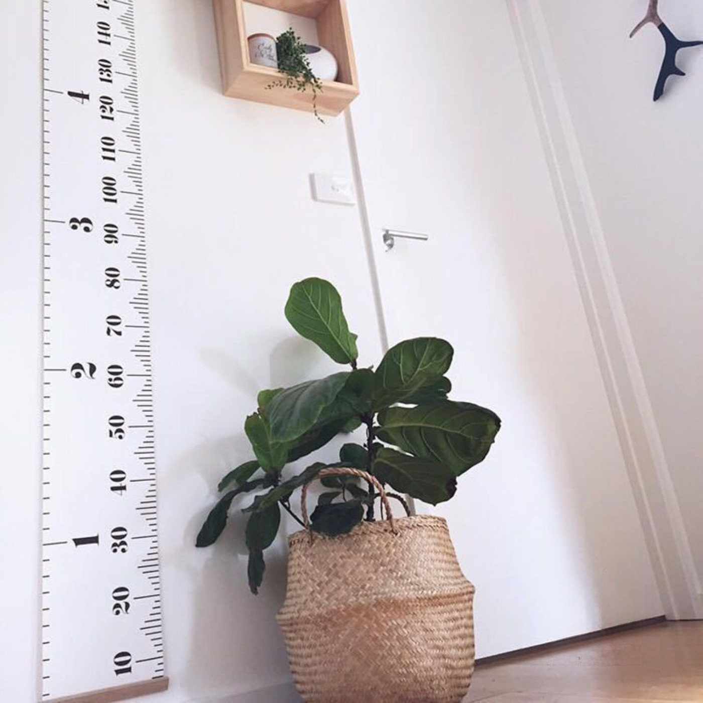 Kids Growth Chart2