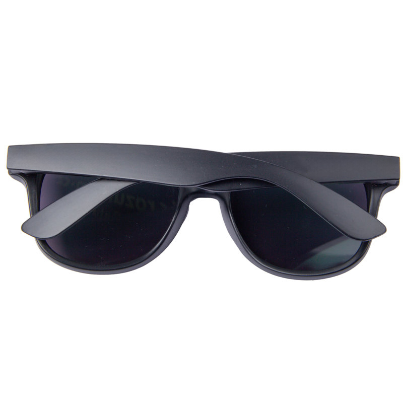 Polarized Classic Sunglasses1