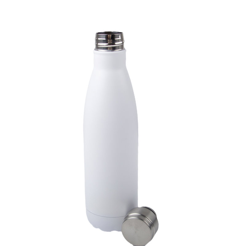 17 oz. Stainless Steel Insulated Water Bottle