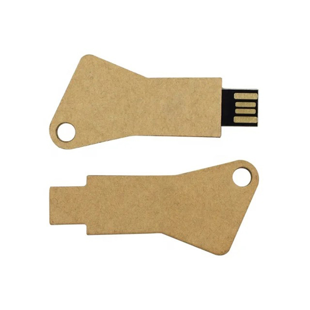 Eco-Friendly Biodegradable USB Drive1
