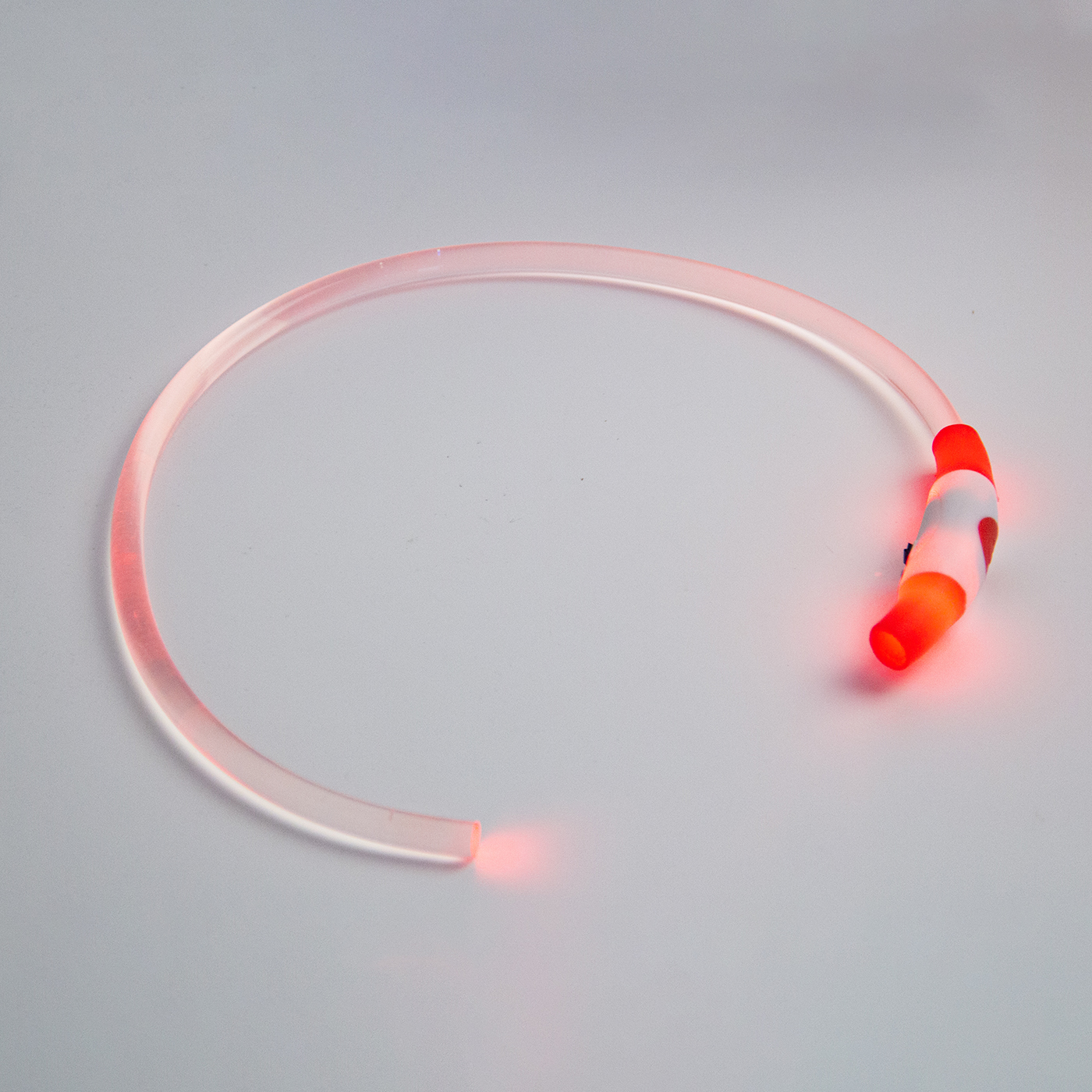 Light Up Dog Collar3
